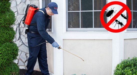 Zeytinalanı Dezenfeksiyon böcek ilaçlama ve haşere kontrolü — ilaclama-tr.com